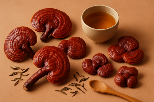 Reishi: The “Mushroom of Immortality” and Daily Balance