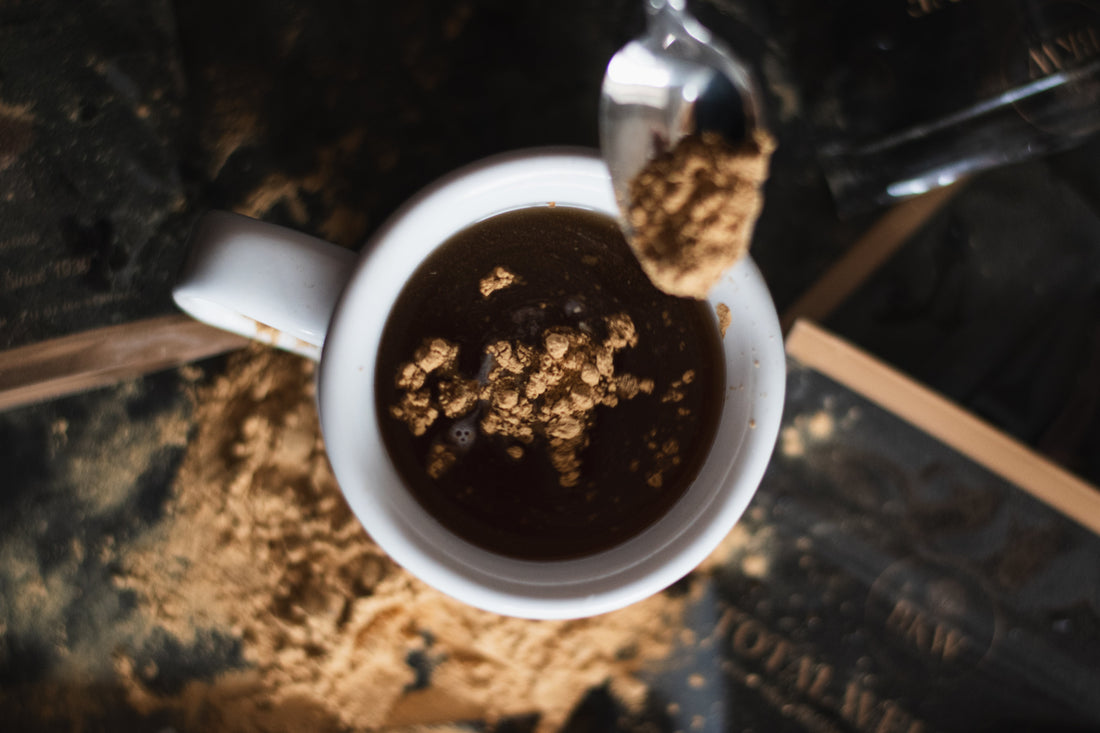 Lion’s Mane Extracts: Hot Water vs. Dual – What’s the Difference?