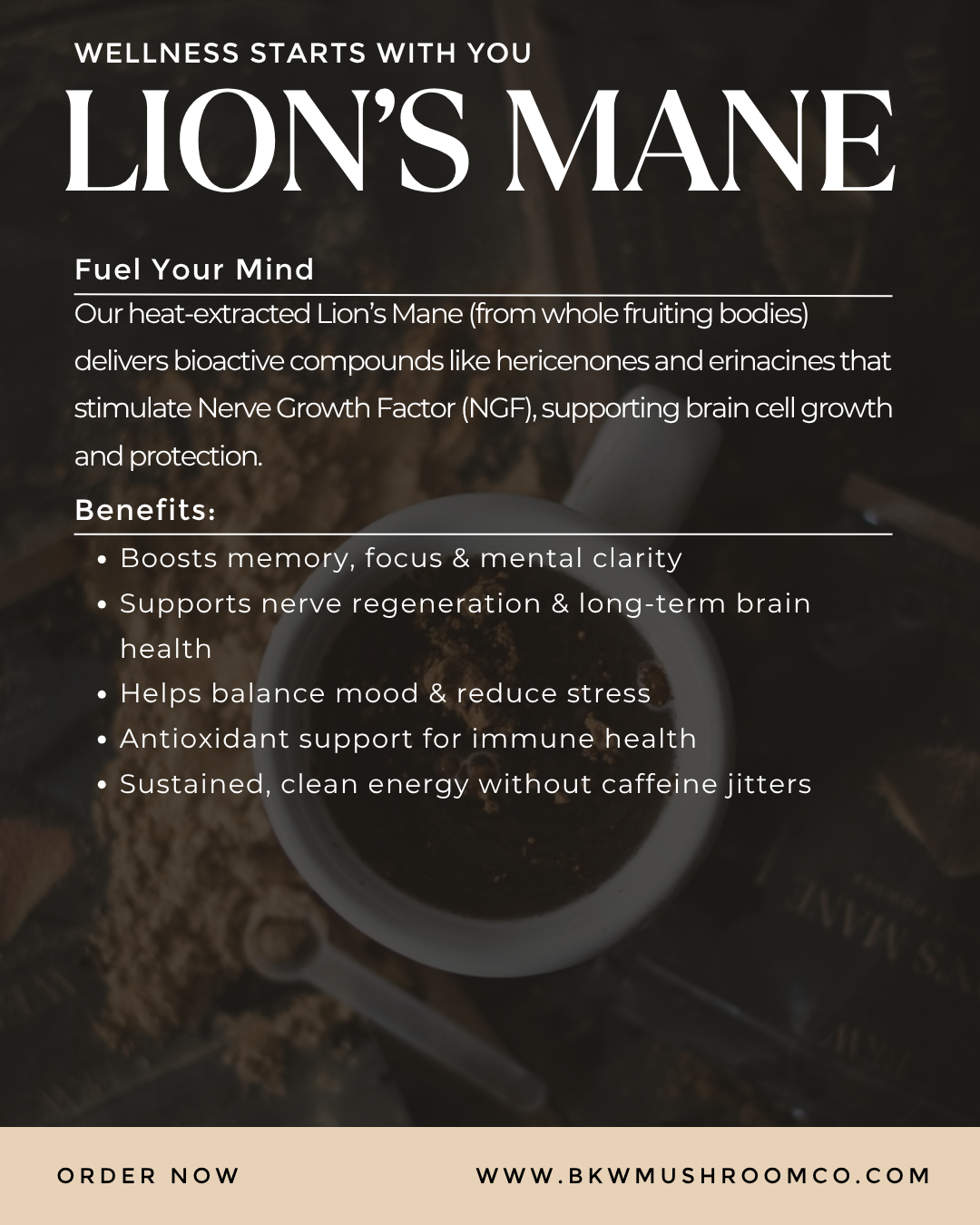 BKW Mushroom co Lion's Mane extract powder benefits graphic