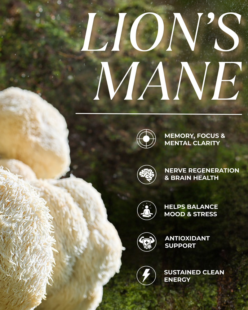 Lion’s Mane Dual Extract Capsules