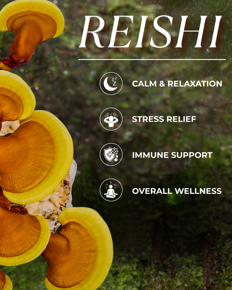 Reishi Mushroom Dual Extract Powder